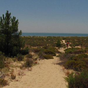 Costa Vicentina e Alentejana