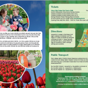 Campos tulipas