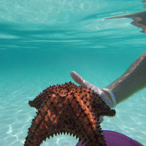 Playa Pillar