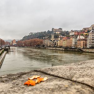 Lyon