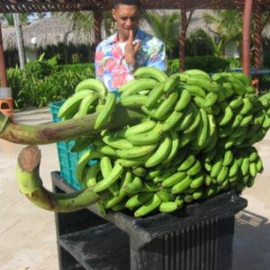 Republica Dominicana