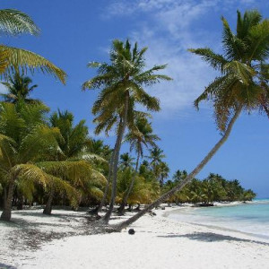 Iha Saona