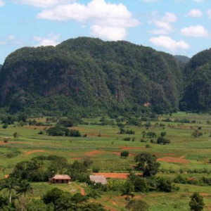 Cuba - Vale de Vinhales