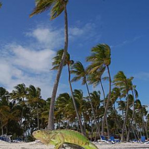 Punta Cana