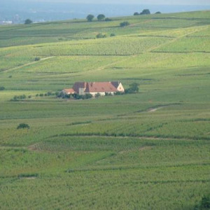 Alsácia