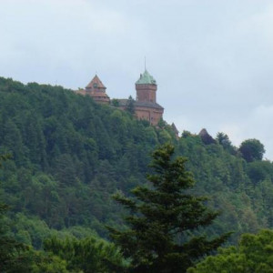 Alsácia