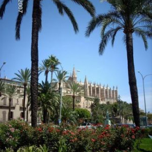 Palma de Maiorca