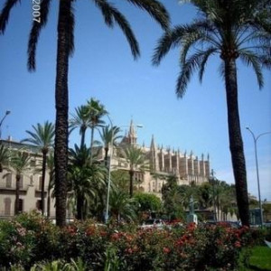 Palma de Maiorca