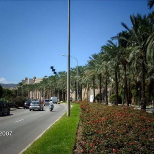 Palma de Maiorca