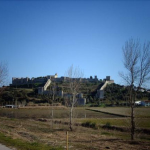Montemor-o-Velho