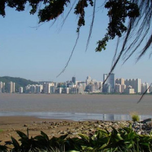 Sem Título