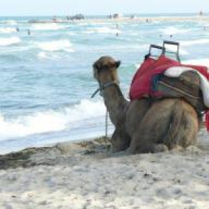 Tunisia