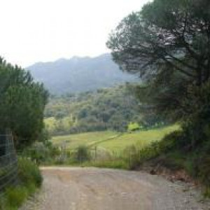 Alentejo