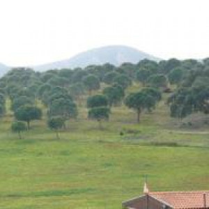 Alentejo