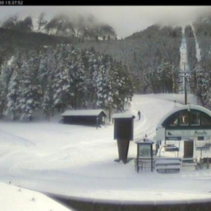 masella