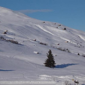 Fideris Heuberge