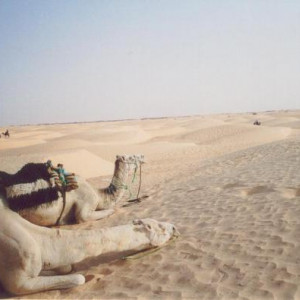 Tunísia _ deserto do Sahara