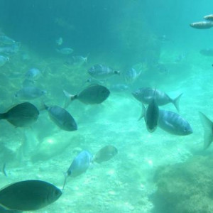 Benidorm