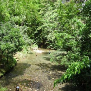 Cascatas Mayfieldfalls, Jamaica