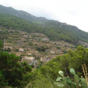 Banyalbufar