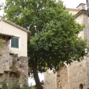 Valldemossa