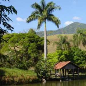 Lagoa