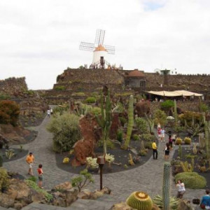 Jardim de Cactos