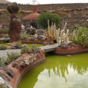 Jardim de Cactos