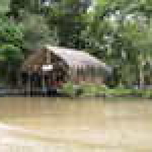 Parque Tortuguero- Costa Rica