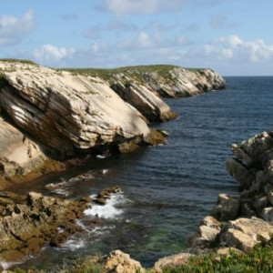 Baleal