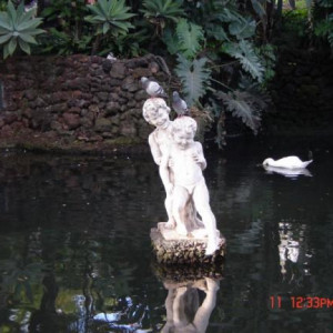 Ilha da Madeira