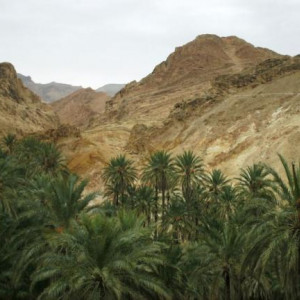 Tunisia - Chebika