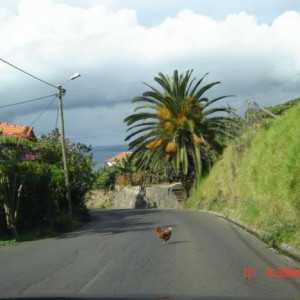 Ilha da Madeira