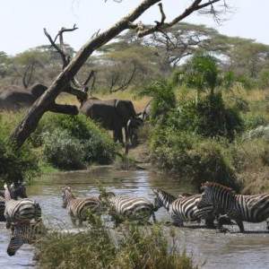 fotos da tanzania