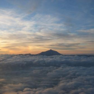 Taide-Tenerife