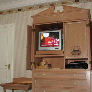 Disneyland Hotel