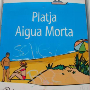 Oliva, Comunidade Valenciana