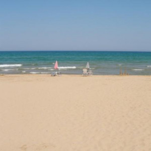Oliva, Comunidade Valenciana