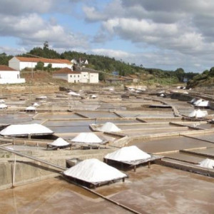 Salinas de Rio Maior