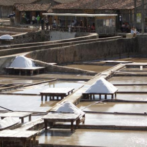 Salinas de Rio Maior