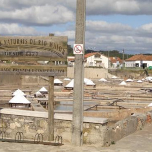 Salinas de Rio Maior