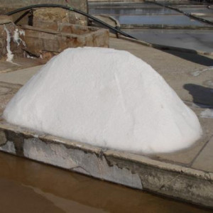 Salinas de Rio Maior