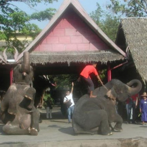 Tailandia diversos1