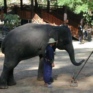 Tailandia diversos 2