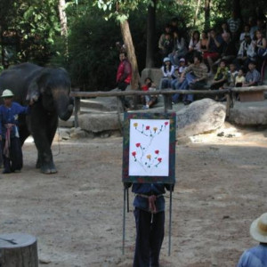 Tailandia diversos 2