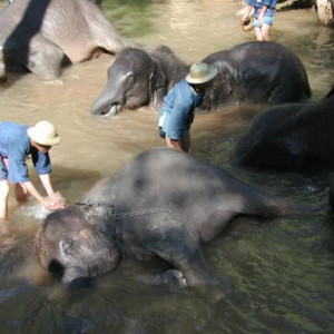 Tailandia diversos 2