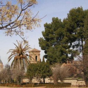 Alhambra - Granada