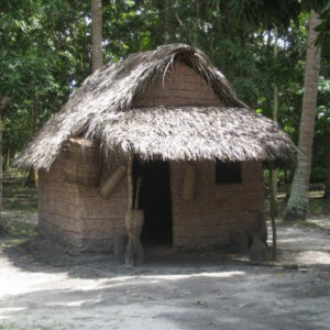 Brasil.. Porto Galinhas