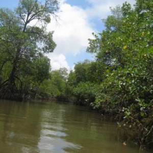 Brasil - Rio Grande do Norte