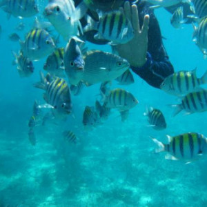 Snorkling em Isla Mujeres